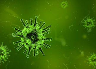 Nový virus tlačí dolů ceny akcií i ropy, zlato naopak zdražuje