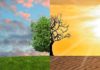 STEM: Češi už vnímají změny klimatu jako naléhavé climate-change, klimatická změna, životní prostředí, sucho