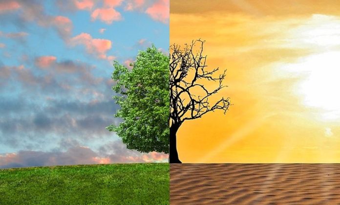 climate-change, klimatická změna, životní prostředí, sucho climate-change, klimatická změna, životní prostředí, sucho