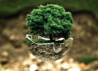 Merkelová chce po pandemii investice do ekologických technologií ekologie, ochrana životního prostředí, země, příroda, eco