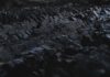 Globální poptávka v roce 2021 poroste, předpovídá Mezinárodní energetická agentura uhlí