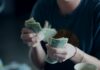 Čechům za rok uteče 47 miliard korun kvůli penězům pod polštářem