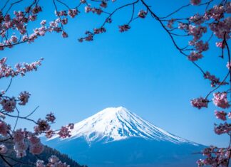 Obchodní deficit Japonska byl v lednu kvůli dovozu energií rekordní Japonsko zaznamenalo schodek obchodu již osmnáctý měsíc za sebou. Meziročně se deficit zvýšil zhruba 1,6krát.