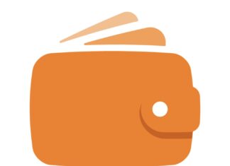 Recenze Plnápeněženka.cz: Co umí a co by se dalo zlepšit plnapenezenka.cz