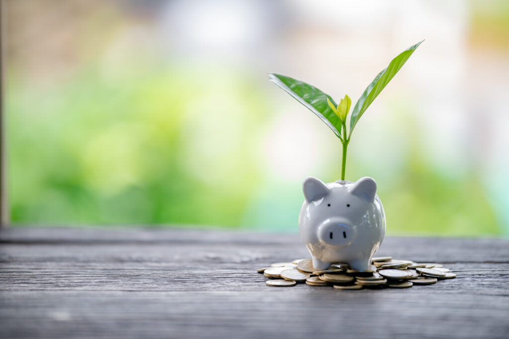 Pig piggy bank and seedlings grown on bottles - investment ideas for growth - ForexMag.cz Mikroinvestování