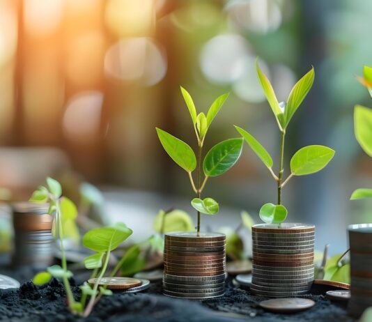 Láká vás 14% dividenda v dolarech? Tři důvody, proč je tato oblíbená akcie největší pastí na české rentiéry Pasivní příjem. Zdroj obrázku: Adobe Stock